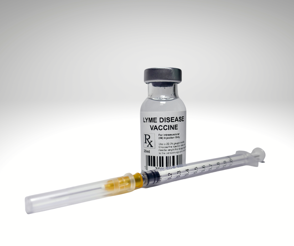 The Evolution of the Lyme Vaccine: From LYMErix™ to VLA15