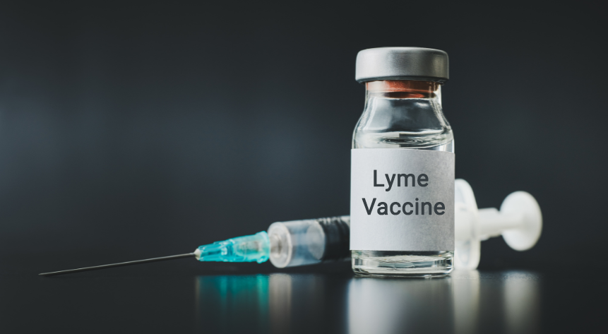 Lyme vaccine